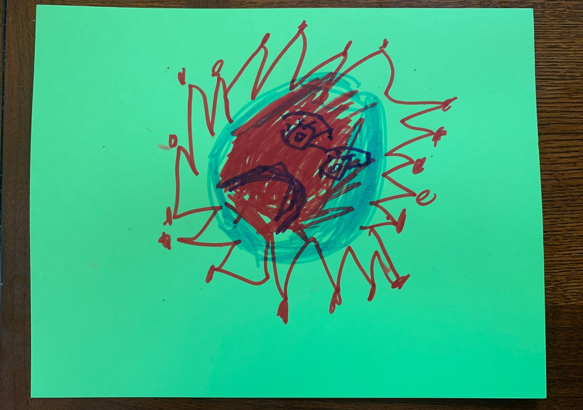 The Student Coronavirus Creative Response Project: Youth Voices ...